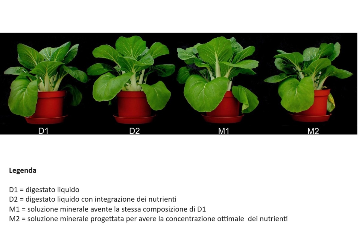 Comparazione fra le tesi sperimentali dello studio svedese